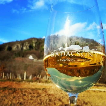 Bortúra Badacsonyban